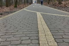 IMG-20240301-WA0065