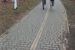 IMG-20240301-WA0132